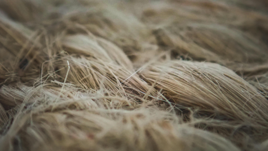 Understanding Polyester Blends